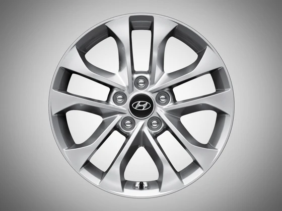 Leichtmetallfelge 17 Zoll (7)