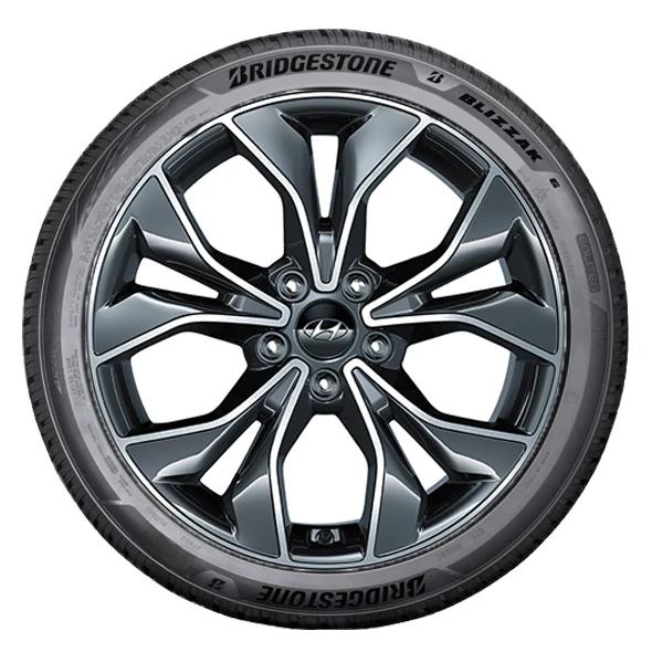 WR Alu 18,BR BL6 ENLITEN 225/40 R18 92V XL,RE (1)