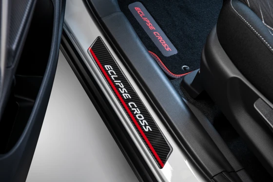 Einstiegsleisten-Satz (5)