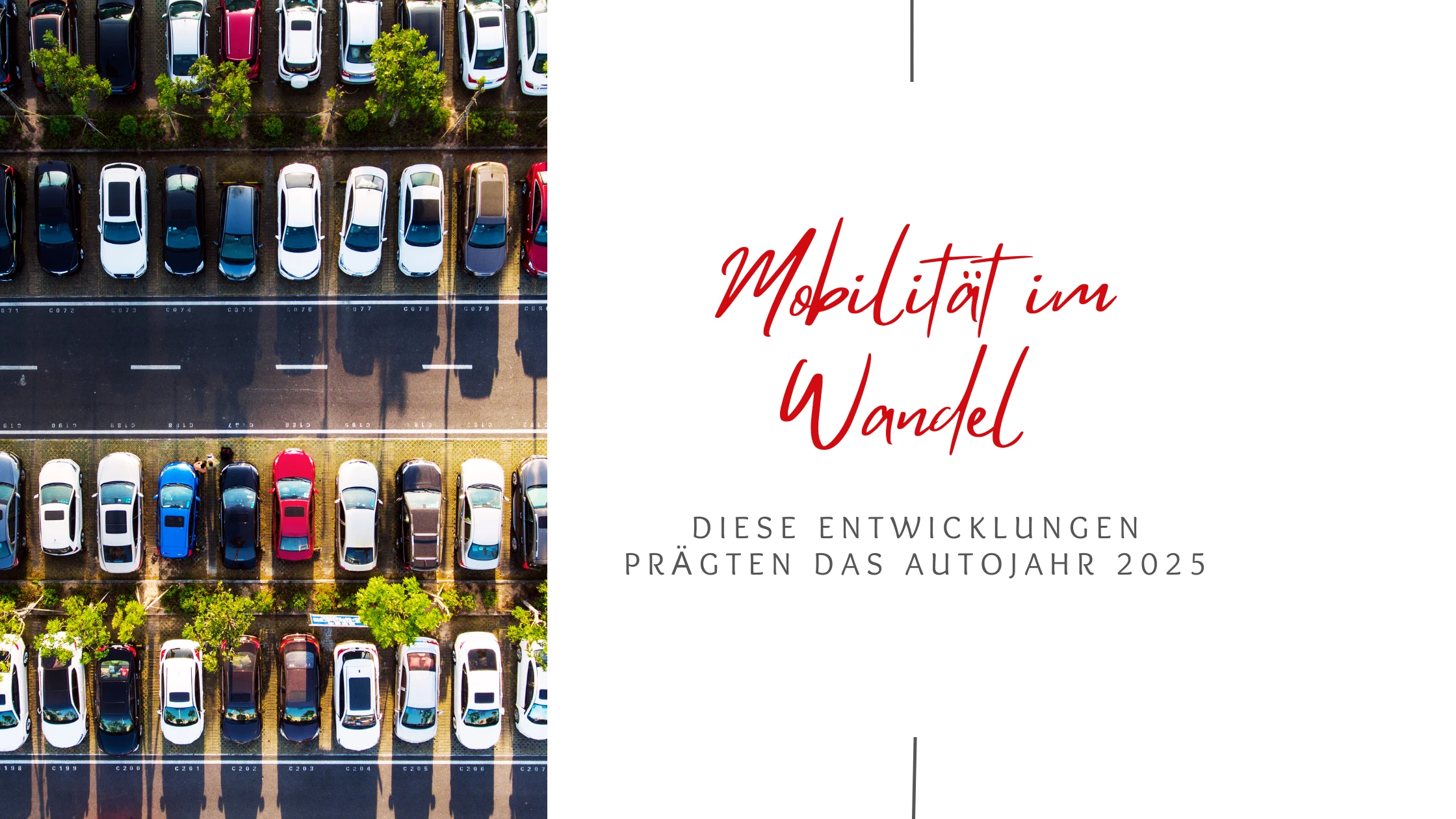 Jahresrückblick 2025 Blog Banner