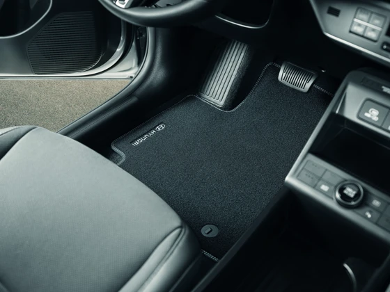 Velours-Matten-Satz (96)