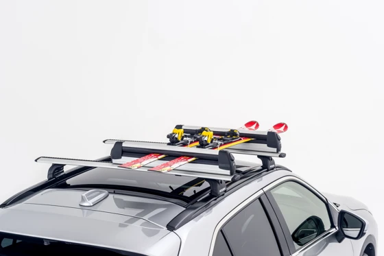 Ski-/Snowboardträger (14)