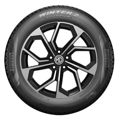 WR Alu 19, PI Scorpion Wi 2 225/55 R19 103V XL, RE