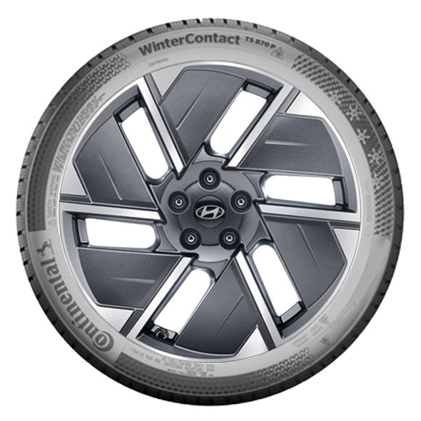 WR Alu 19,Con W.Cont. TS850P 255/60 R19 113V XL,LI
