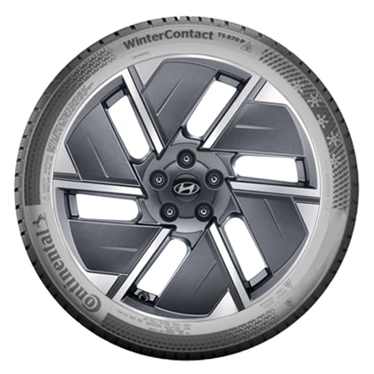 WR Alu 19,Con W.Cont. TS850P 255/60 R19 113V XL,LI