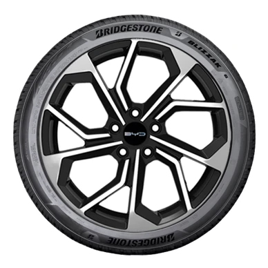 WR Alu 17, BR Blizzak 6 ENLITEN 215/60 R17 100V XL, RE