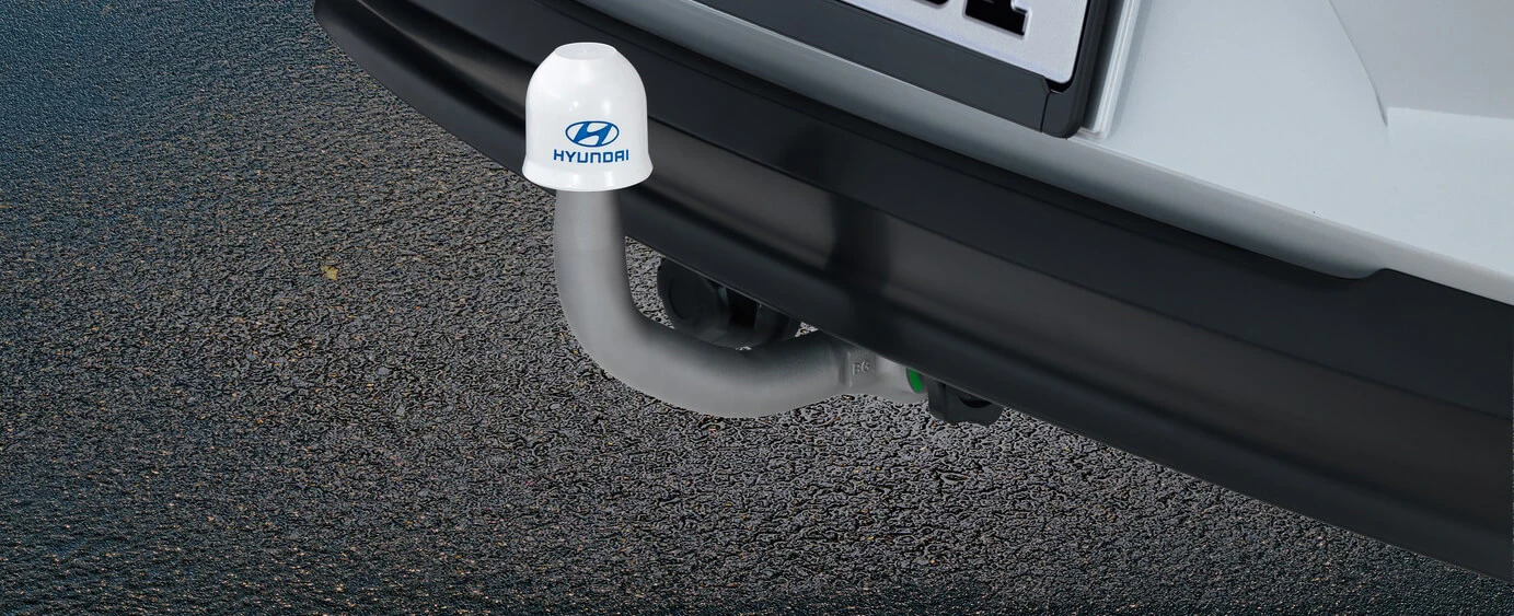 Anhängerkupplung, abnehmbar (10)