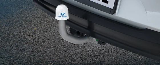 Anhängerkupplung, abnehmbar (10)