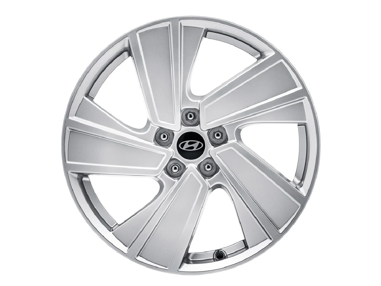 Leichtmetallfelge 19 Zoll (6)