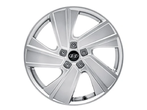 Leichtmetallfelge 19 Zoll (6)