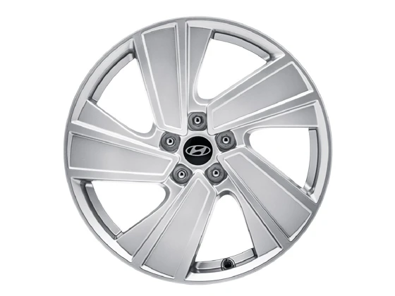 Leichtmetallfelge 19 Zoll (6)