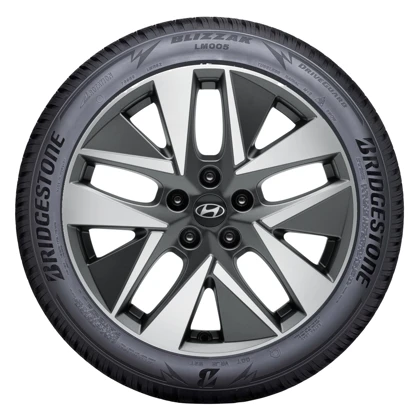 WR Alu 18, BR Blizzak LM005 225/55 R18 102V XL, LI