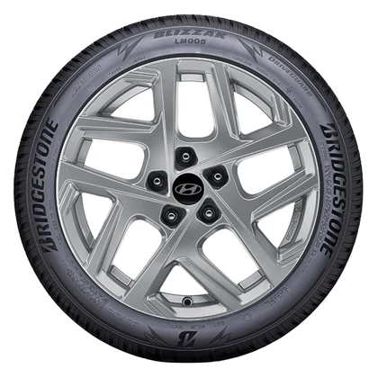 WR Alu 17, BR Blizzak LM005 215/60 R17 96H, RE