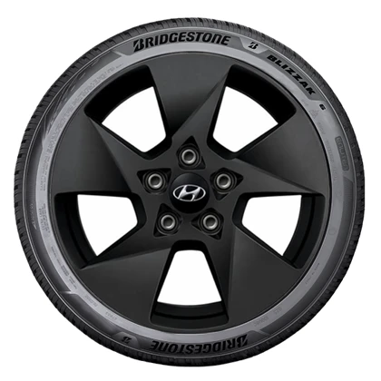 WR Alu 16, BR BLI 6 ENLITEN 205/65 R16 99H XL, RE