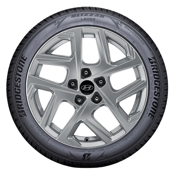 WR Alu 17, BR Blizzak LM005 215/60 R17 96H, RE (35)
