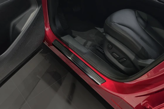 Einstiegsleisten, Edelstahl gebürstet, Anthrazit