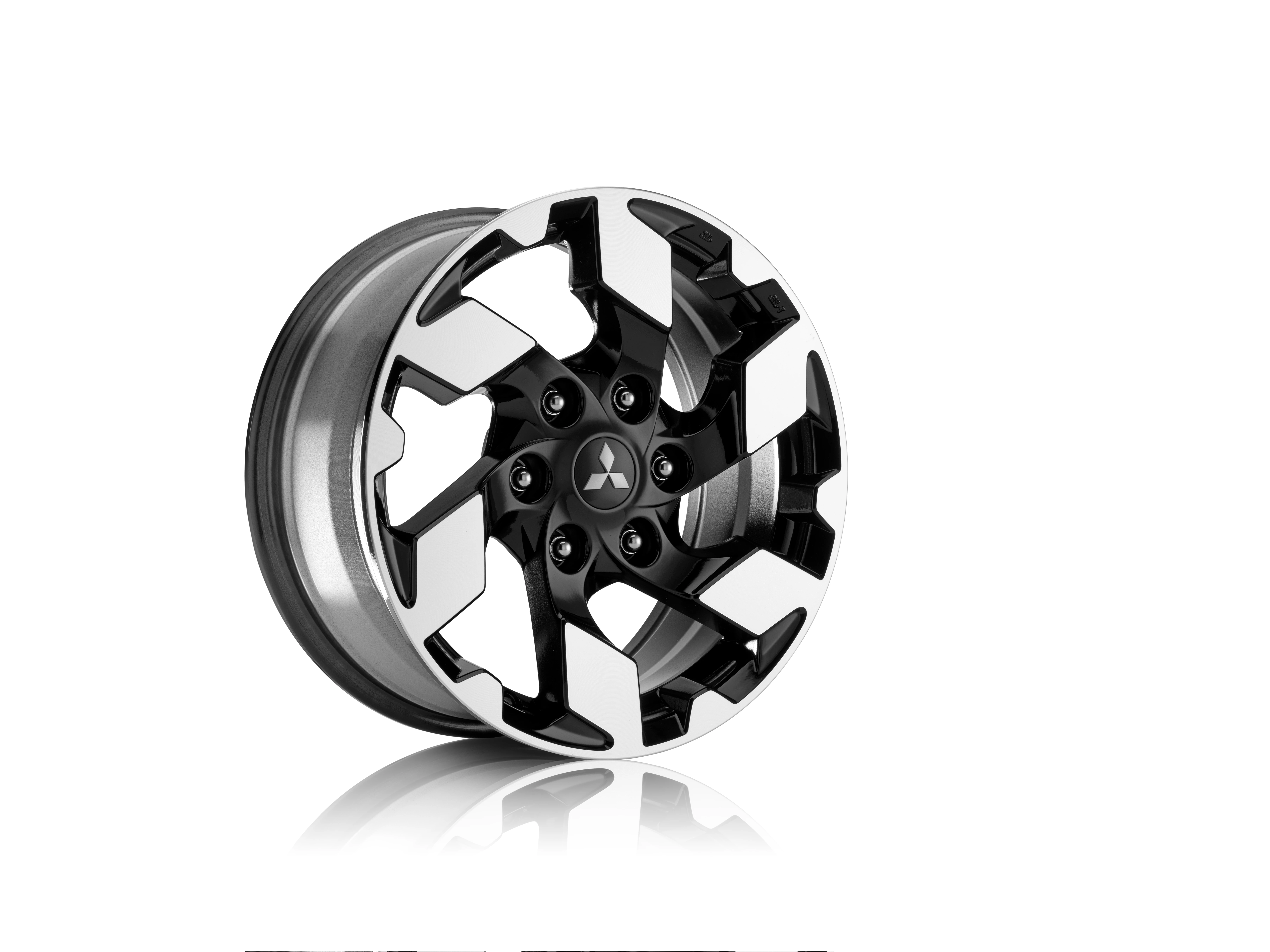 Leichtmetallfelge 17 Zoll (6)