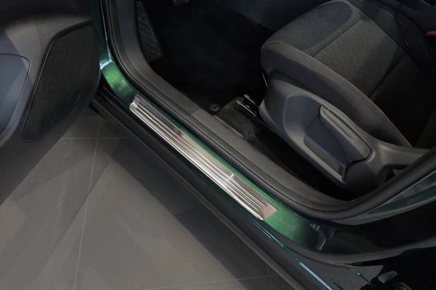 Einstiegsleisten, Edelstahl gebürstet