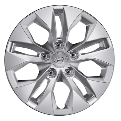 Stahlfelgenkappe 15 Zoll (2)