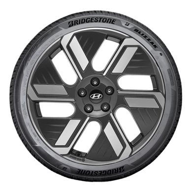 WR Alu BR Blizzak 6 ENLITEN 255/45R20 105W XL, LI (1)