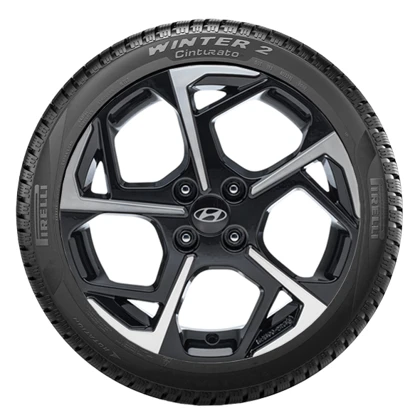 WR Alu PI Cinturato WINTER 2 195/55 R16 91H XL, LI