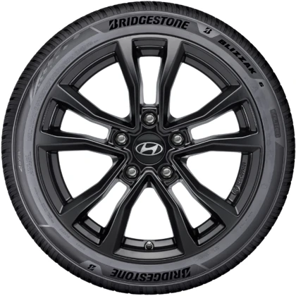 WR Alu 16, BR Blizzak 6 ENLITEN 205/55 R16 91H, RE