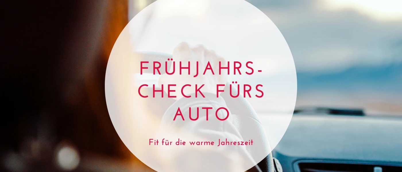 Frühjahrscheck Banner