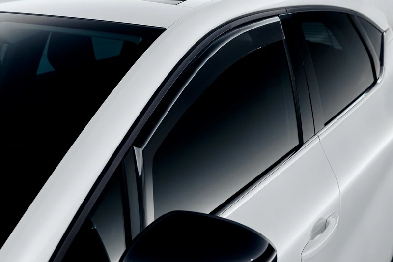 Seitenwindabweiser (31)