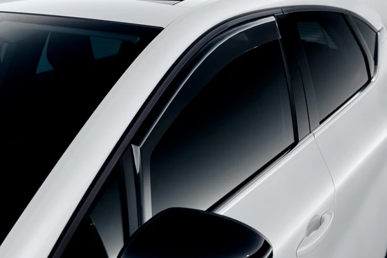 Seitenwindabweiser (31)