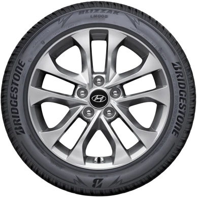 WR Alu 17, BR LM005 235/65 R17 108H XL, RE (11)