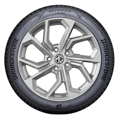 WR Alu 19, BR Blizzak LM005 235/45 R19 99V XL, RE (8)