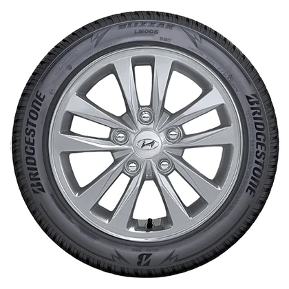 WR Alu 15, BR LM005 195/65 R15 91T, RE