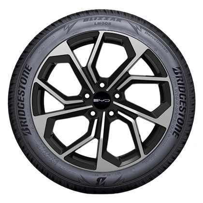 WR Alu 19, BR Blizzak LM005 245/45 R19 102V, LI