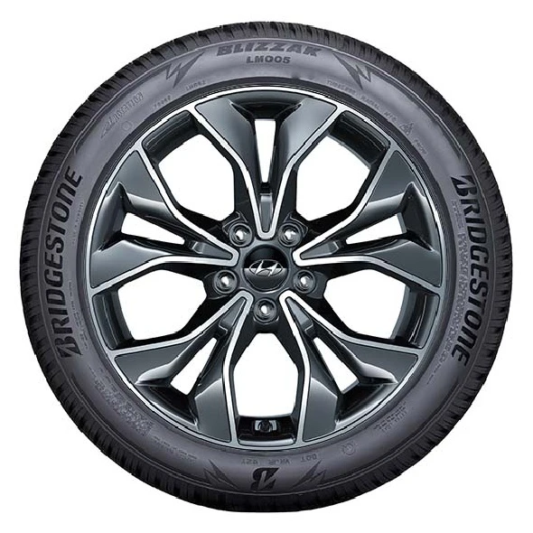 WR Alu 18, BR Blizzak LM005 225/40 R18 92V XL, LI (6)