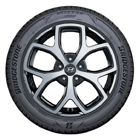 WR Alu 18, BR Blizzak LM005 225/45 R18 95V, RE (1)