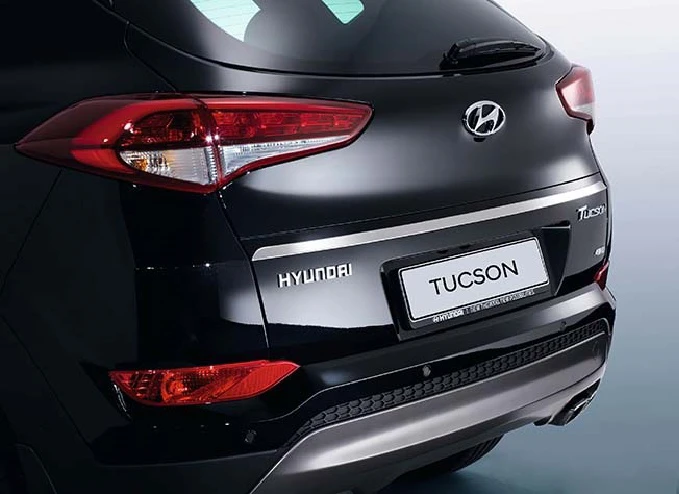 Heckklappenzierleiste (34)