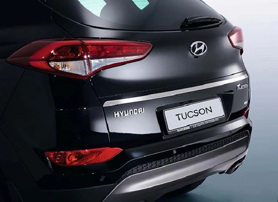 Heckklappenzierleiste (34)