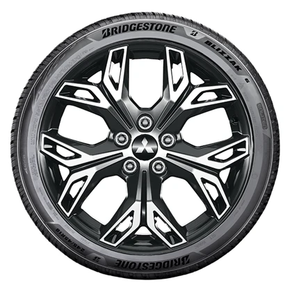 WR Alu 18, BR BLI 6 ENLITEN 215/55 R18 99V XL, LI