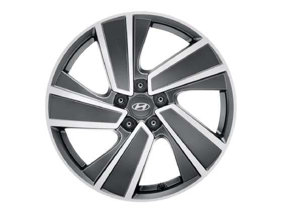 Leichtmetallfelge 19 Zoll (7)