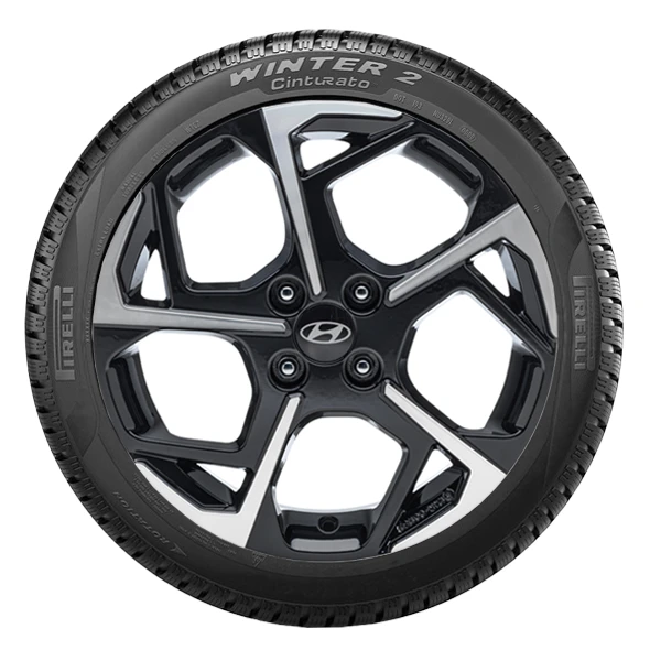 WR Alu PI Cinturato WINTER 2 195/55 R16 91H XL, RE (2)