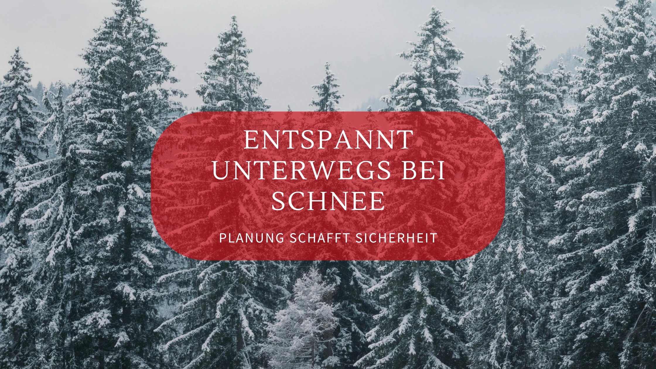 Scheechaos Blog Banner