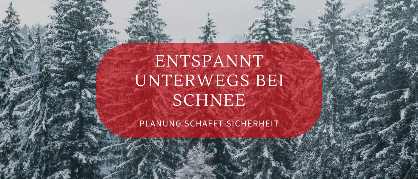 Scheechaos Blog Banner