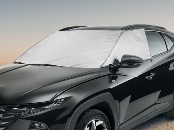 Eis- und Sonnenschutz (60)