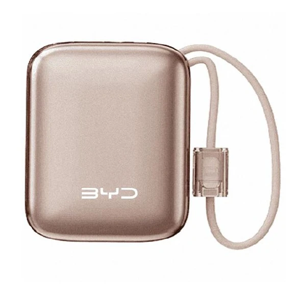BYD-Powerbank, goldfarben (1)