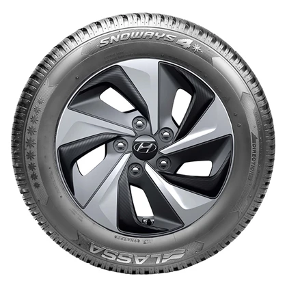 WR Alu 15, LA Snoways 4 195/65 R15 95H, LI