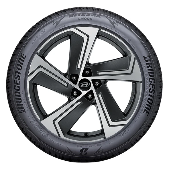 WR Alu 19, BR Blizzak LM005 235/45 R19 99V XL, LI (20)