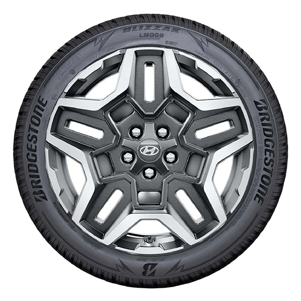 WR Alu 19, BR Blizzak LM005 235/55 R19 105V XL, RE (6)