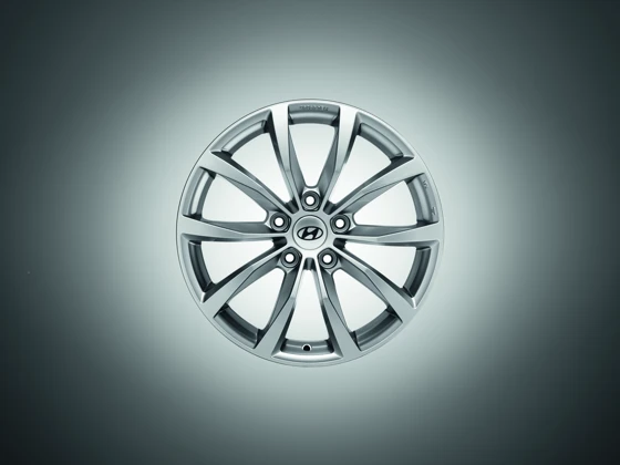 Leichtmetallfelge 17 Zoll (23)