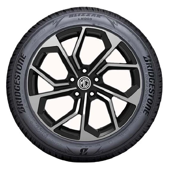 WR Alu 19, BR Blizzak LM005 235/45 R19 99V, RE