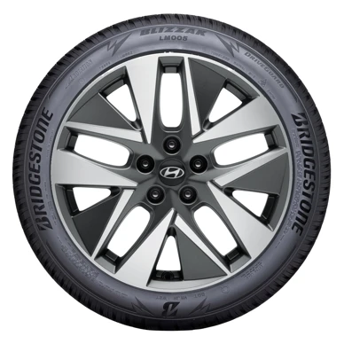 WR Alu 18, BR Blizzak LM005 225/55 R18 102V XL, RE (1)